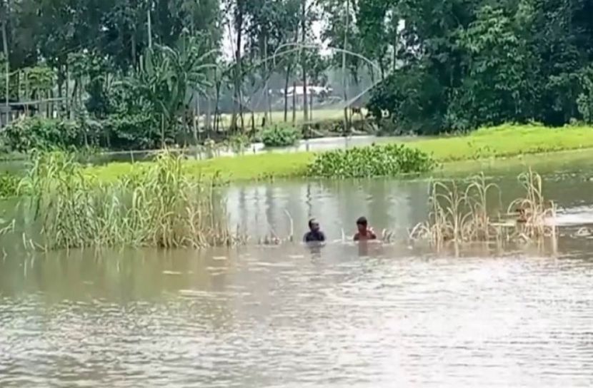 সংগৃহীত ছবি