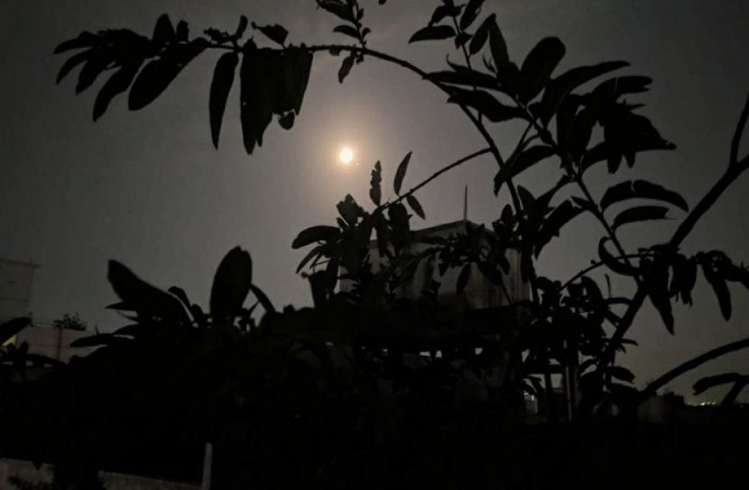 সংগৃহীত ছবি