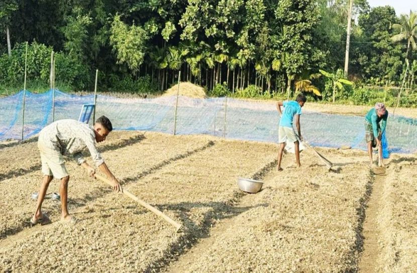 সংগৃহীত ছবি