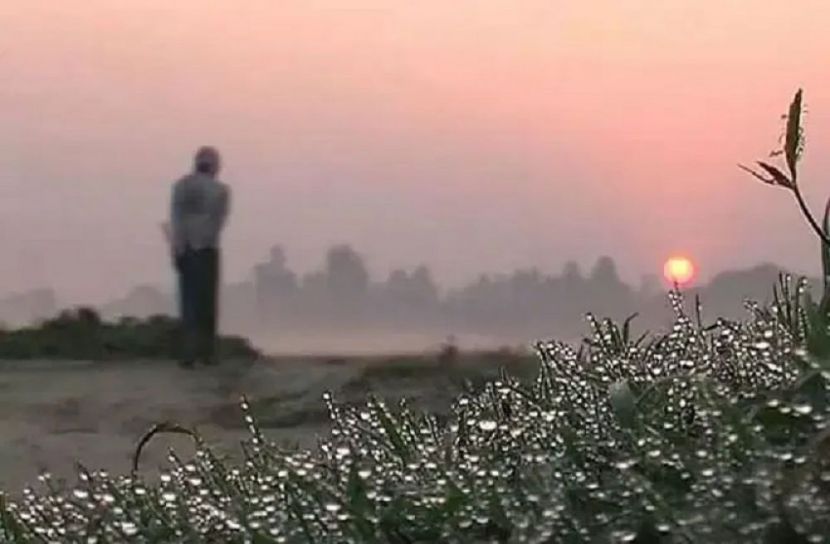 সংগৃহীত ছবি