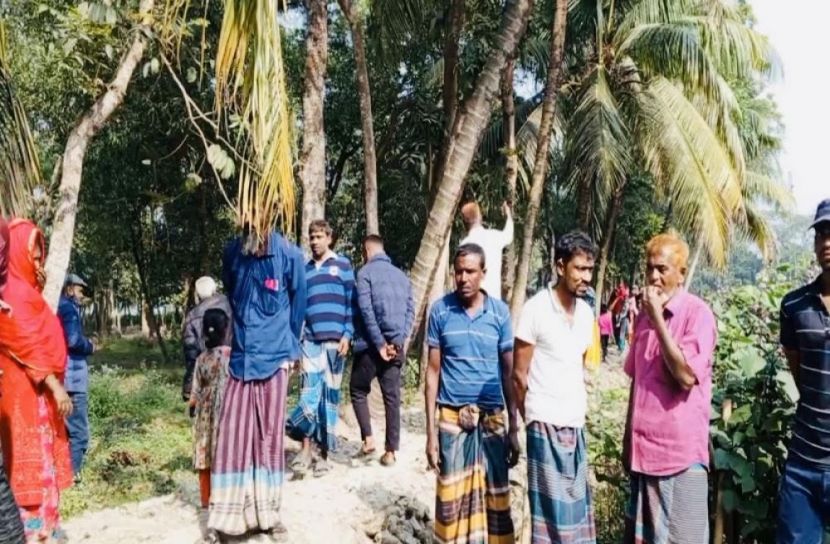 সংগৃহীত ছবি