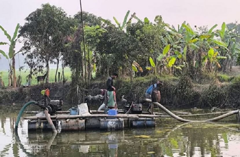 সংগৃহীত ছবি