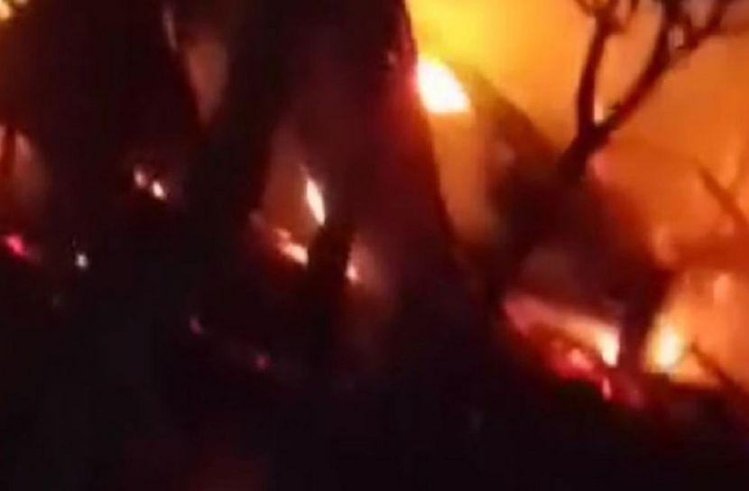 সংগৃহীত ছবি