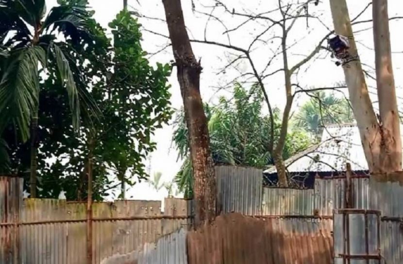 সংগৃহীত ছবি