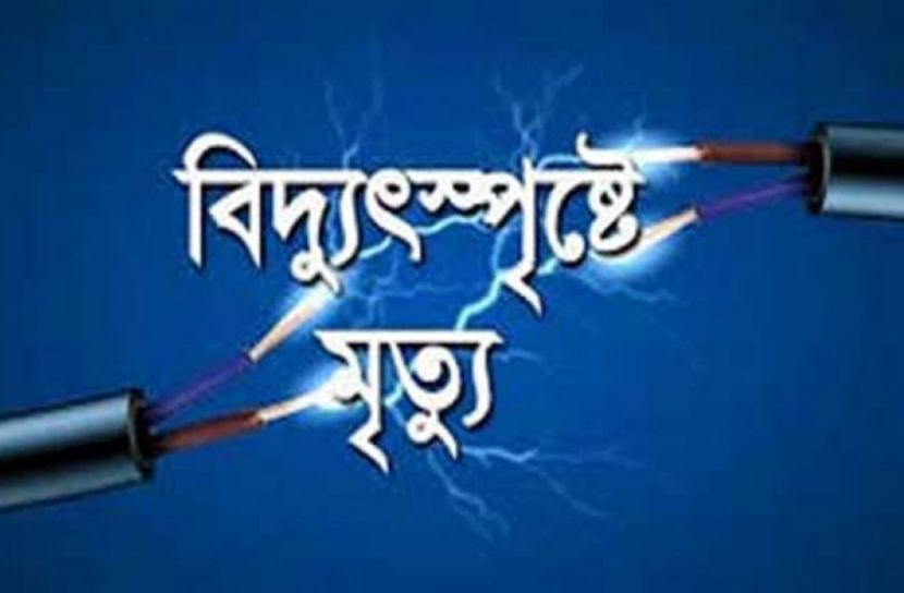 নীলফামারী প্রতিনিধি