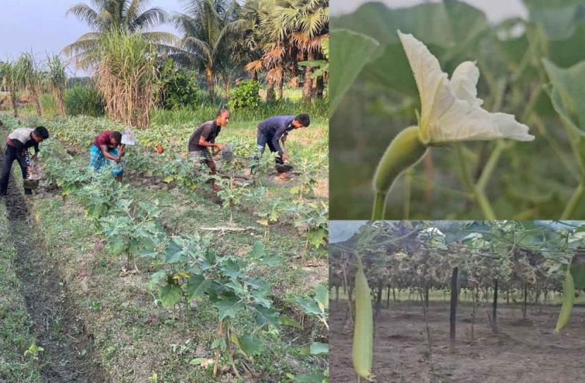 ছবি: সান নিউজ