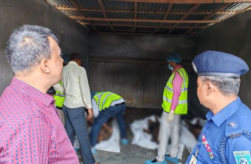 ছবি: সান নিউজ
