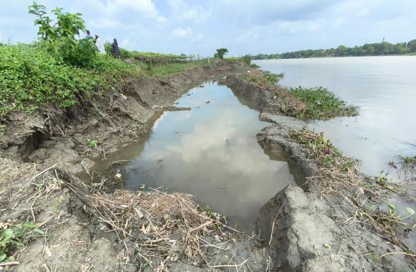 ছবি: সান নিউজ