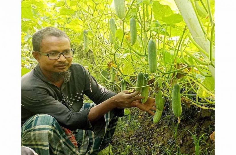 ছবি: সান নিউজ