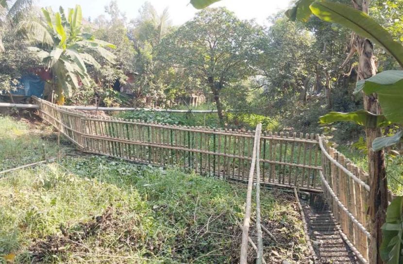 ছবি: সান নিউজ