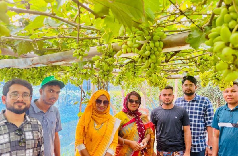 ছবি: সান নিউজ