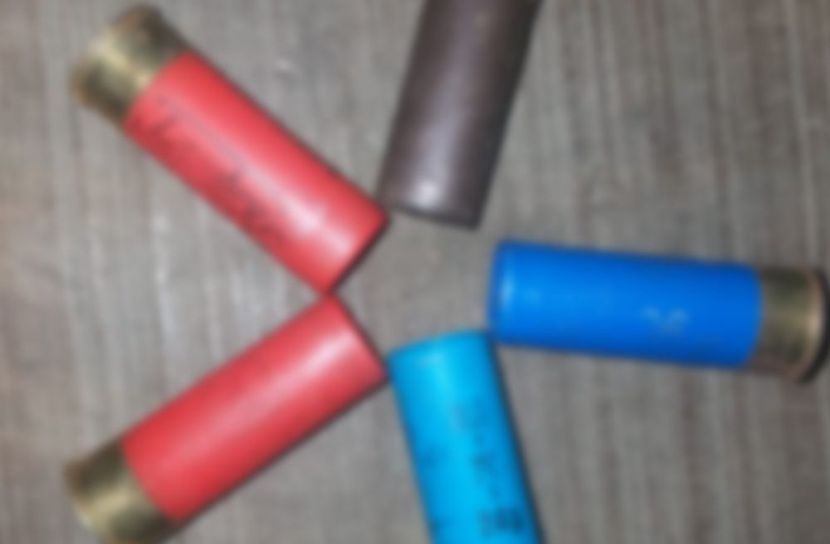 ছবি: সান নিউজ