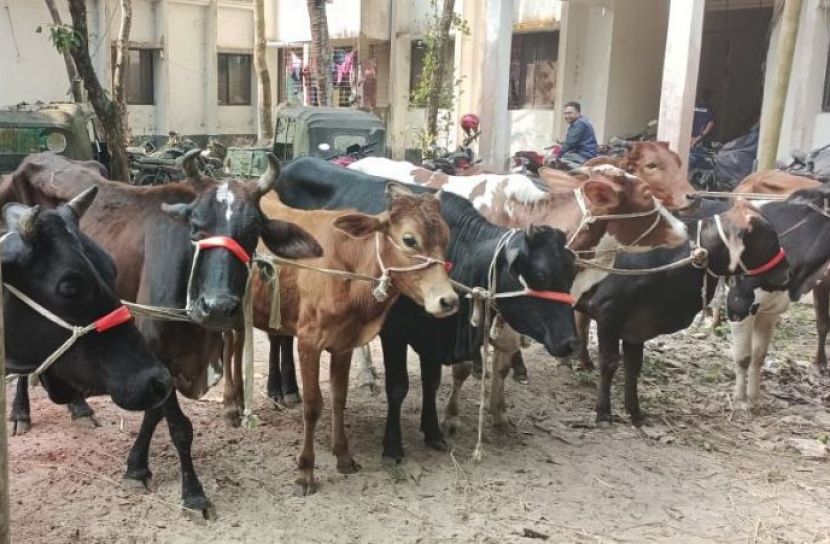 ছবি: সান নিউজ