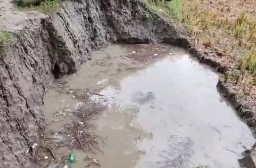 নোয়াখালীতে দুই দিনে পানিতে ডুবে চার শিশুর মৃত্যু