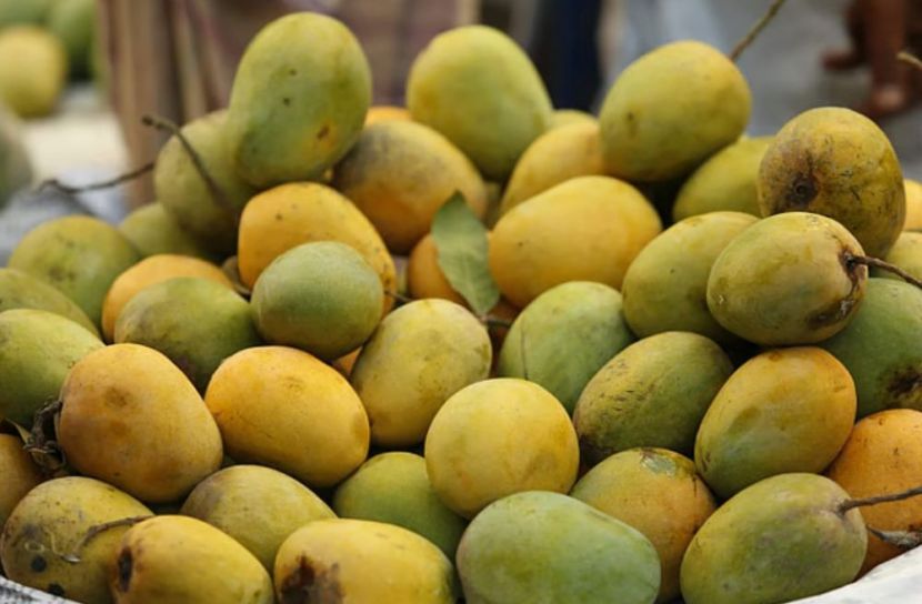 আমের উৎপাদন বাড়লেও রপ্তানি নিয়ে শঙ্কা