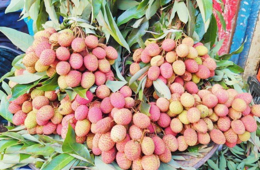 মিষ্টি-রসালো লিচু চিনবেন কীভাবে