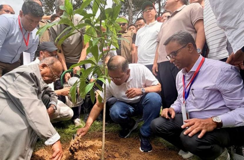 ৫ বছরে ২৫ কোটি গাছ, প্রধানমন্ত্রীর সবুজ উদ্যোগ