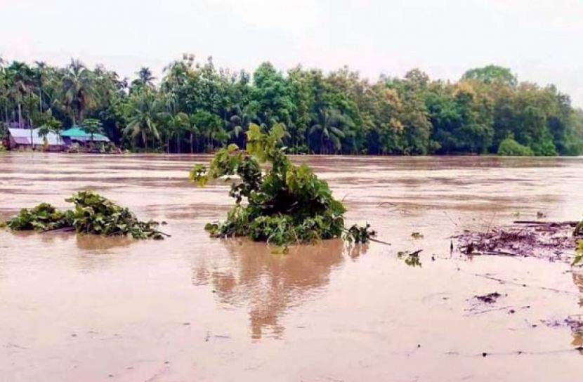 টানা বর্ষণে নতুন বন্যার শঙ্কা, ৪৮ ঘণ্টায় ৫ জেলায় সতর্কতা