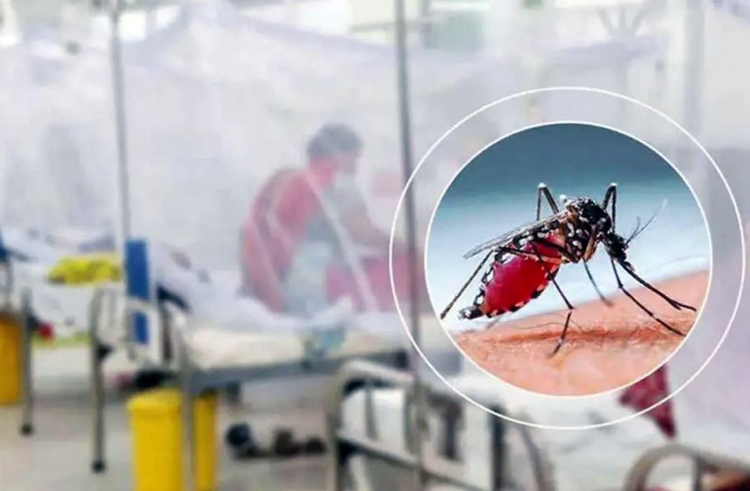 ডেঙ্গু বাড়ছে, একদিনে হাসপাতালে ৬৮ রোগী