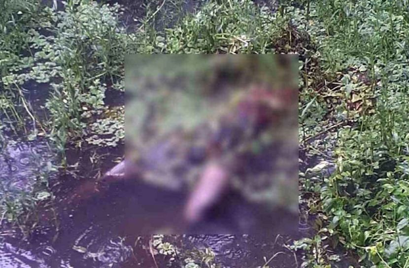 নিখোঁজের দু-দিন পর ডোবা থেকে যুবকের মরদেহ উদ্ধার