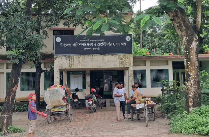 খুঁড়িয়ে চলছে গোয়ালন্দের ভেটেরিনারি হাসপাতাল  