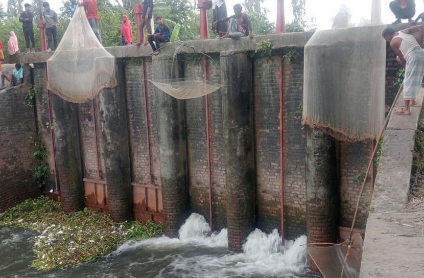 সুন্দরগঞ্জে ভয়াবহ জলাবদ্ধতায় আমন ধানের বীজতলা ও সবজির ব্যাপক ক্ষতি