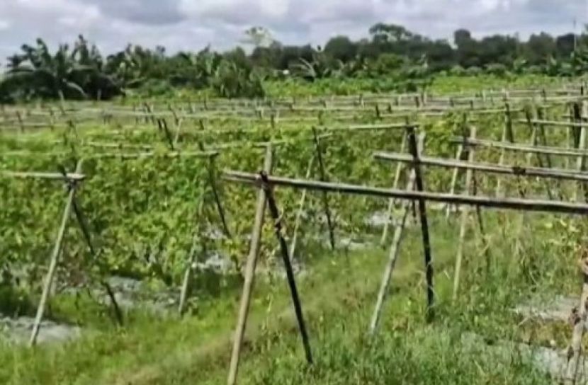 খাগড়াছড়িতে পাহাড়ি ঢলে সৃষ্ট বন্যায় কৃষি খাতে ব্যাপক ক্ষয়ক্ষতি