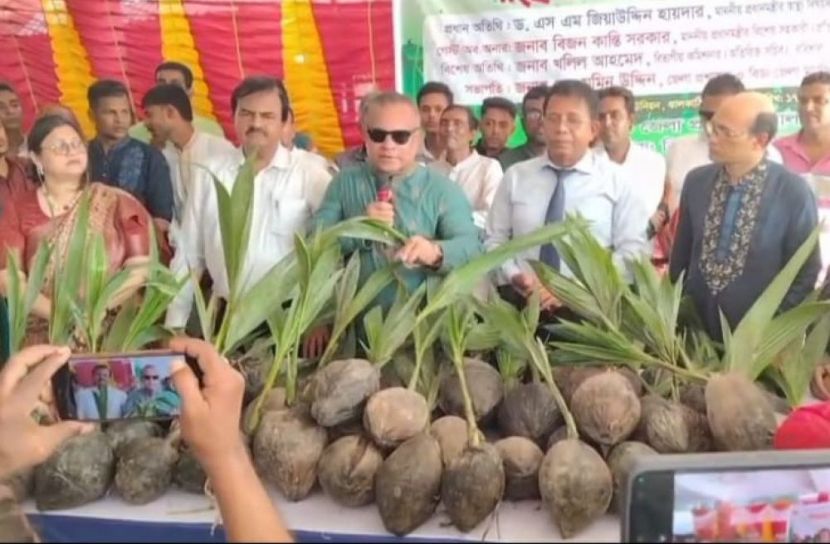 কর্মসূচি বাস্তবায়নে ঝালকাঠিতে গাছের চারা বিতরণ