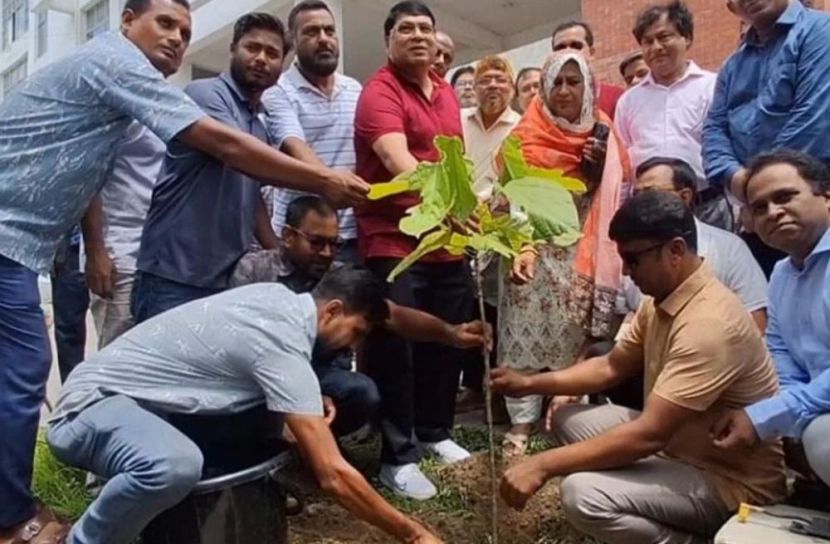 ছবি: সান নিউজ