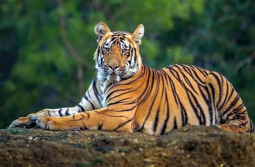 সংগৃহিত ছবি