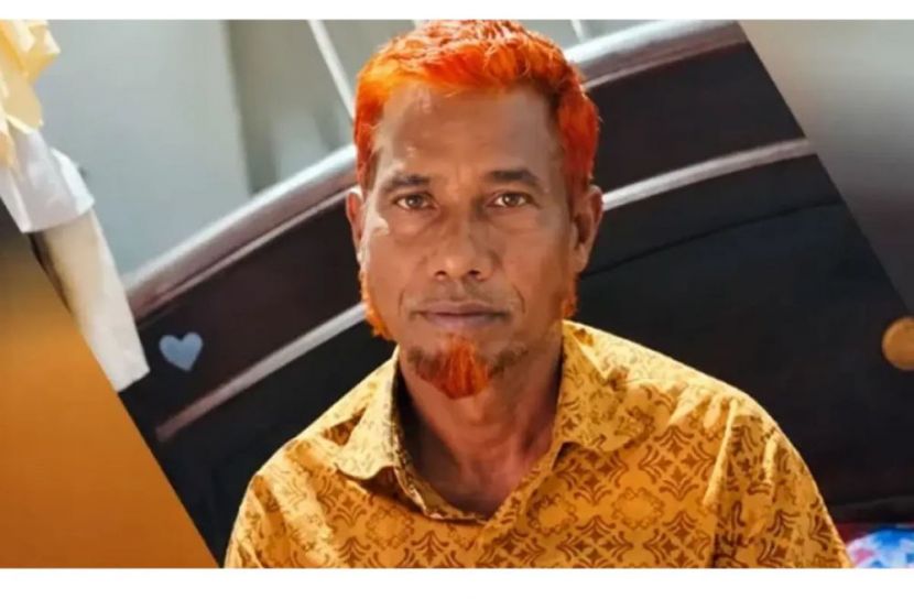 সংগ্রহীত