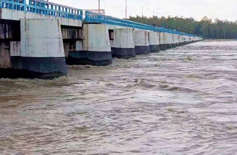 ছবি: সংগৃহিত