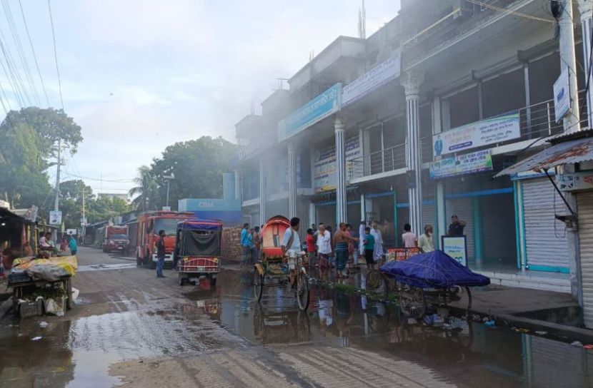 ছবি: সান নিউজ