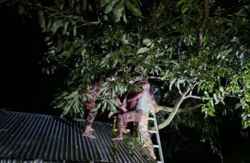 ছবি: সংগৃহিত