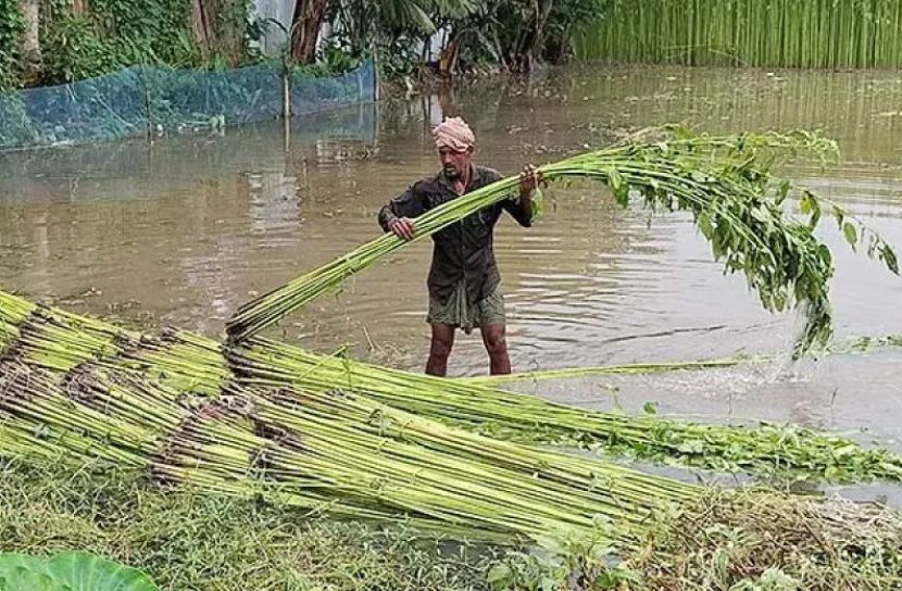 সংগৃহীত