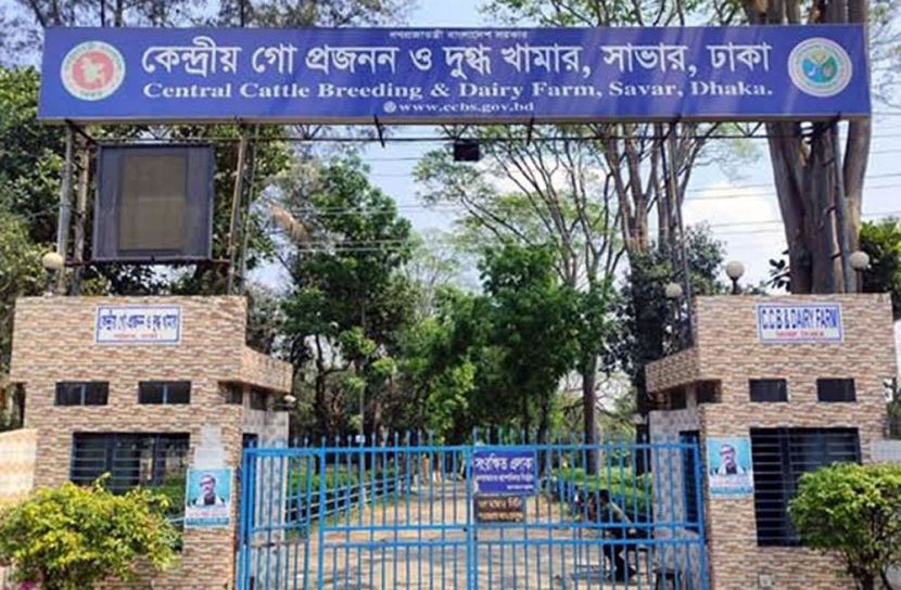 ছবি: প্রতিনিধি