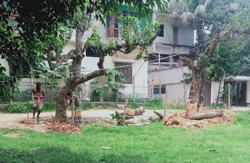 ছবি: সান নিউজ