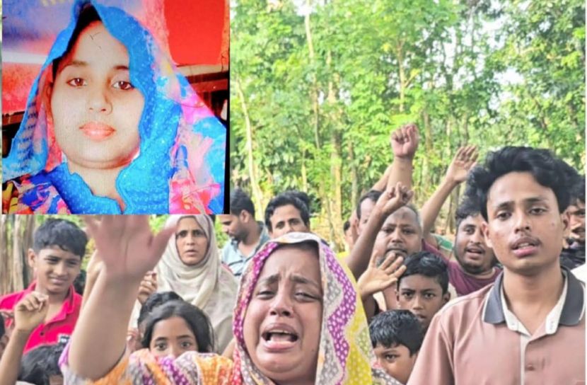 ছবি: সান নিউজ