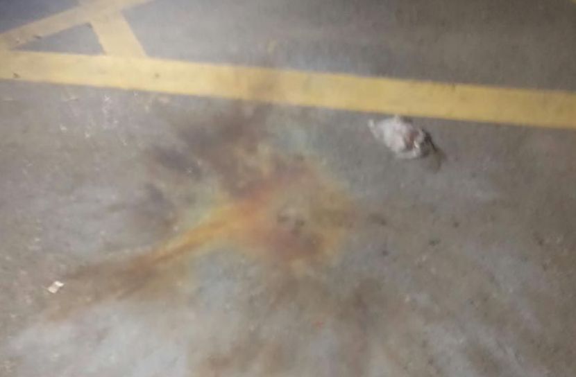মধ্যরাতে প্রধানমন্ত্রীর কার্যালয়ের সামনে ককটেল বিস্ফোরণ