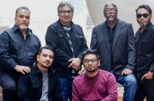 ফিডব্যাকের ৫০ বছর, বছরব্যাপী আয়োজন